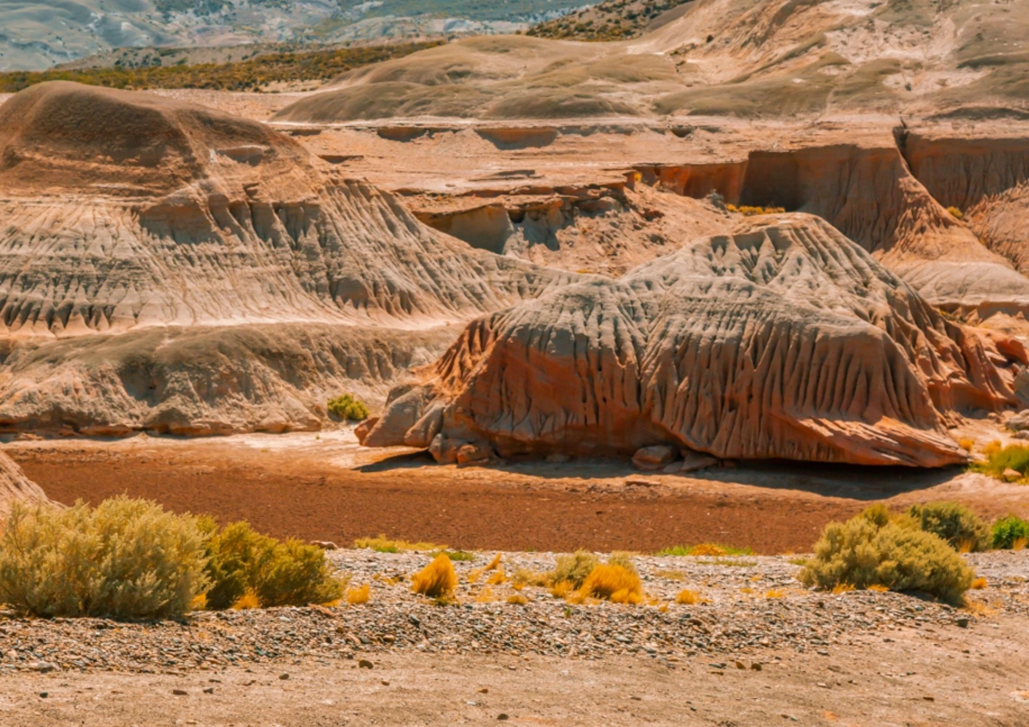 Rocas Coloradas, el Área Natural Protegida donde desaparecieron Juana Morales y Pedro Kreder