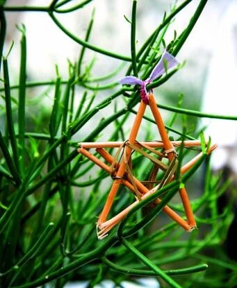 Cómo hacer una estrella de mimbre