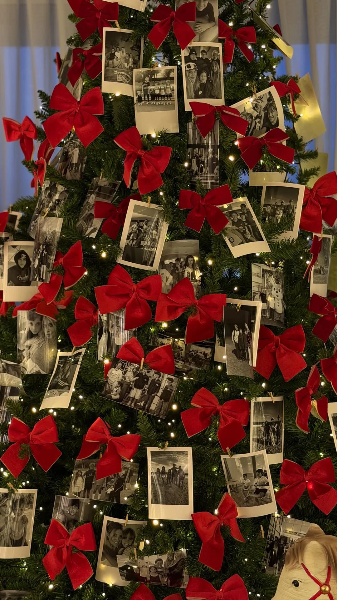 El árbol cuenta con algunos retratos familiares, en blanco y negro.