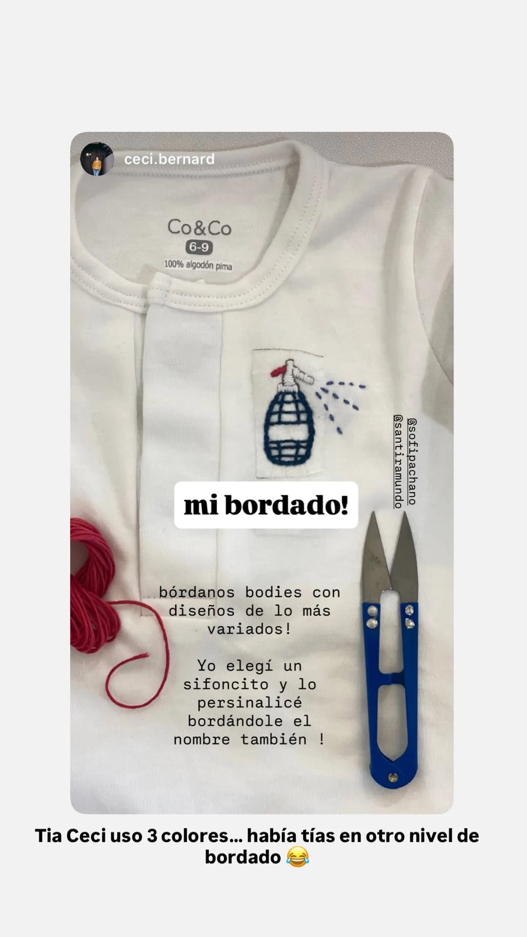 Sofía Pachano celebró su baby shower a pura emoción y creatividad