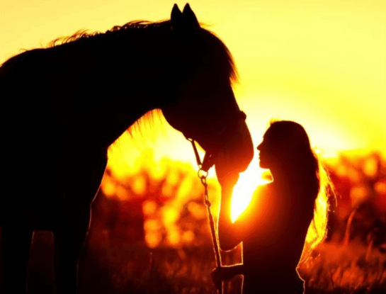 Horóscopo chino 2026: así será el año del Caballo de fuego signo por signo