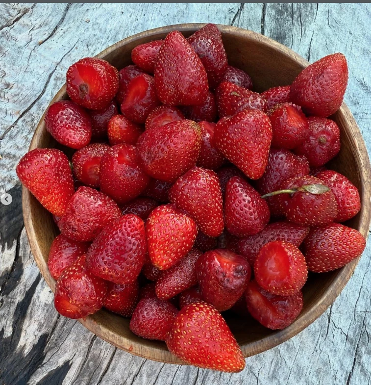 Torta de frutillas clásica (receta familiar de Carola del Bianco)