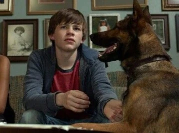 película max netflix