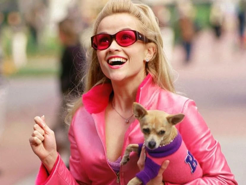 legalmente rubia netflix pelicula