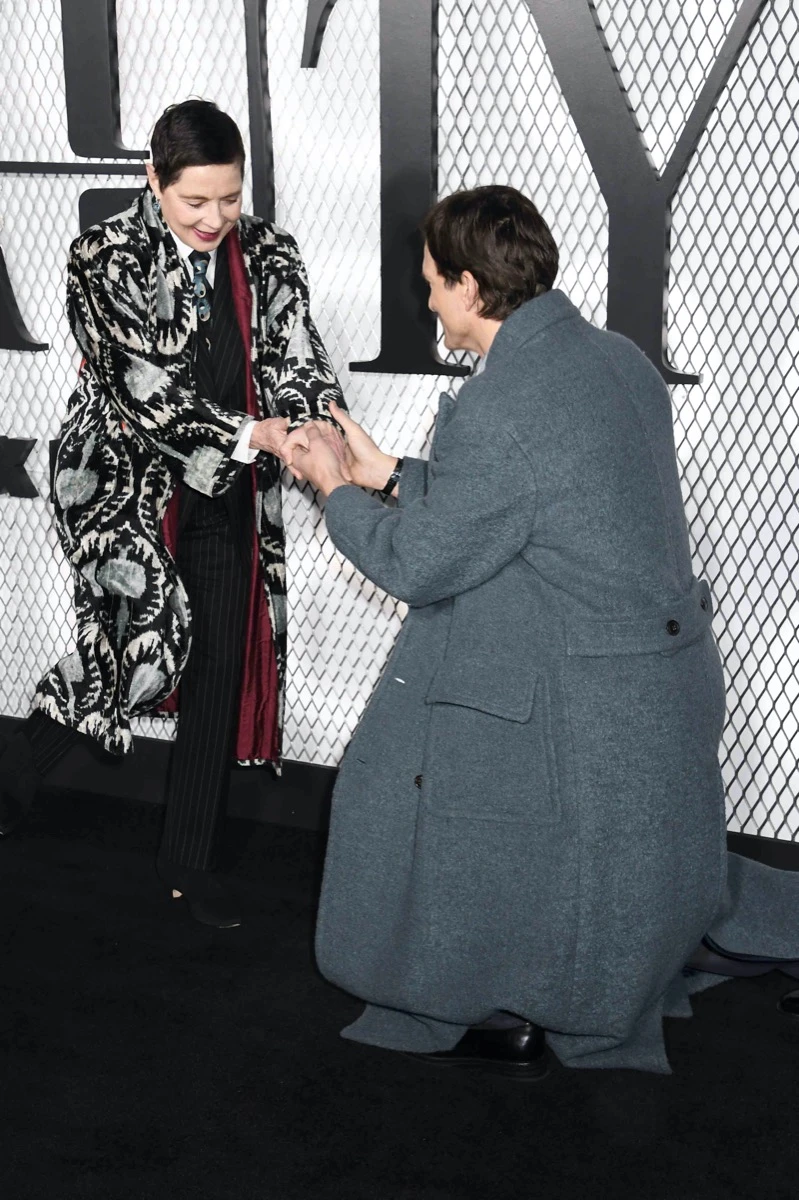 The Beauty: todo sobre la nueva serie de Ryan Murphy con Bella Hadid