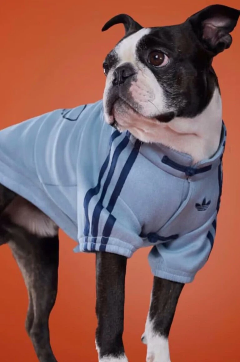 Looks para mascotas by Adidas.