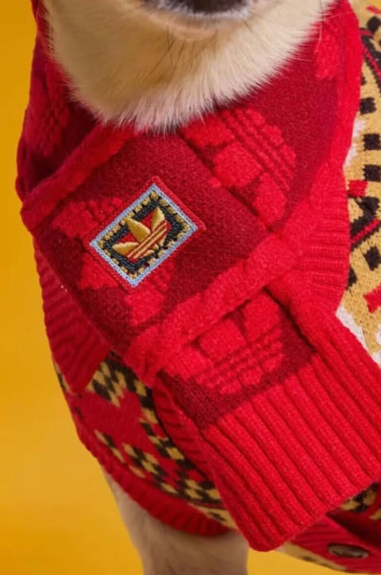 Looks para mascotas by Adidas.