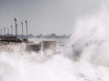 "Se produjo un remolino negro, fue horrible": así se vivió el pánico por la ola gigante en Santa Clara y Mar del Plata