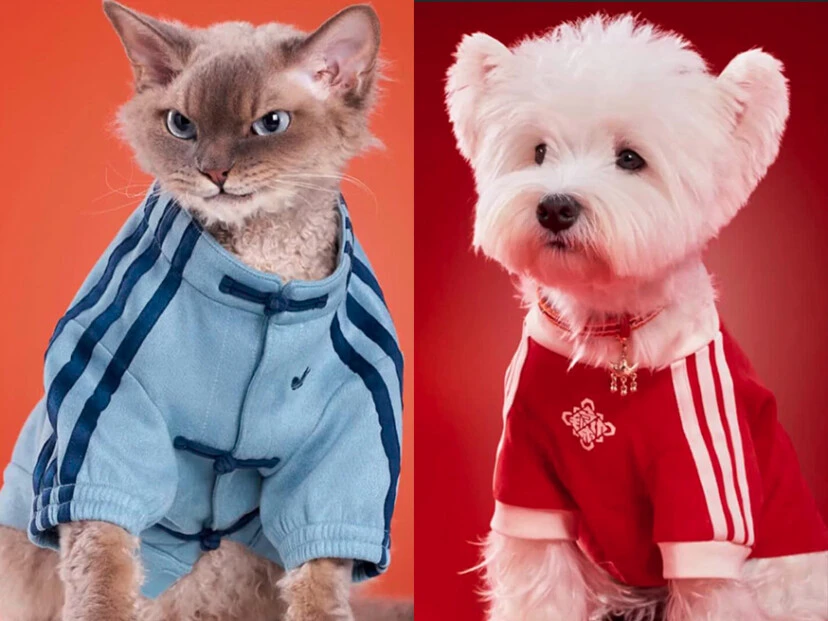 Looks para mascotas by Adidas.