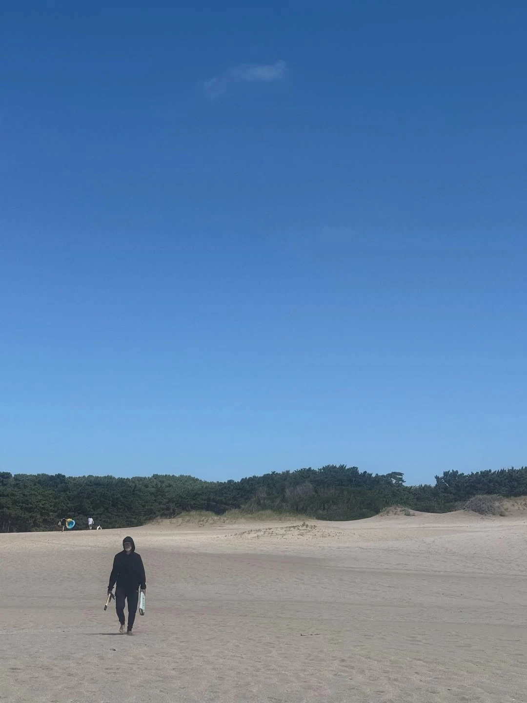 La foto que posteó Julieta Díaz hace unos días desde Mar Azul