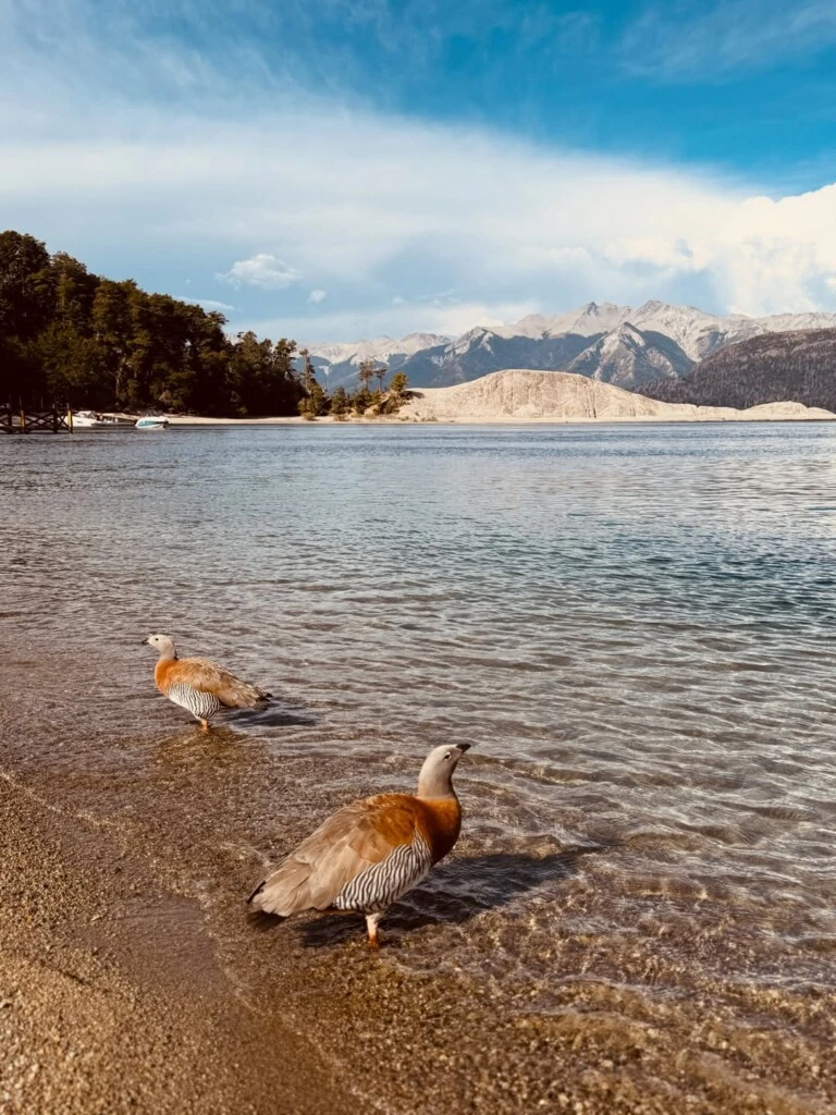 Las vacaciones de Mery en Bariloche.