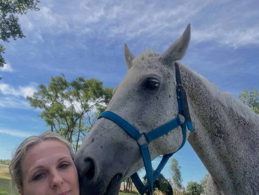 El lugar tiene un establo con caballos, ovejas y otros animales. Fotos: IG. 