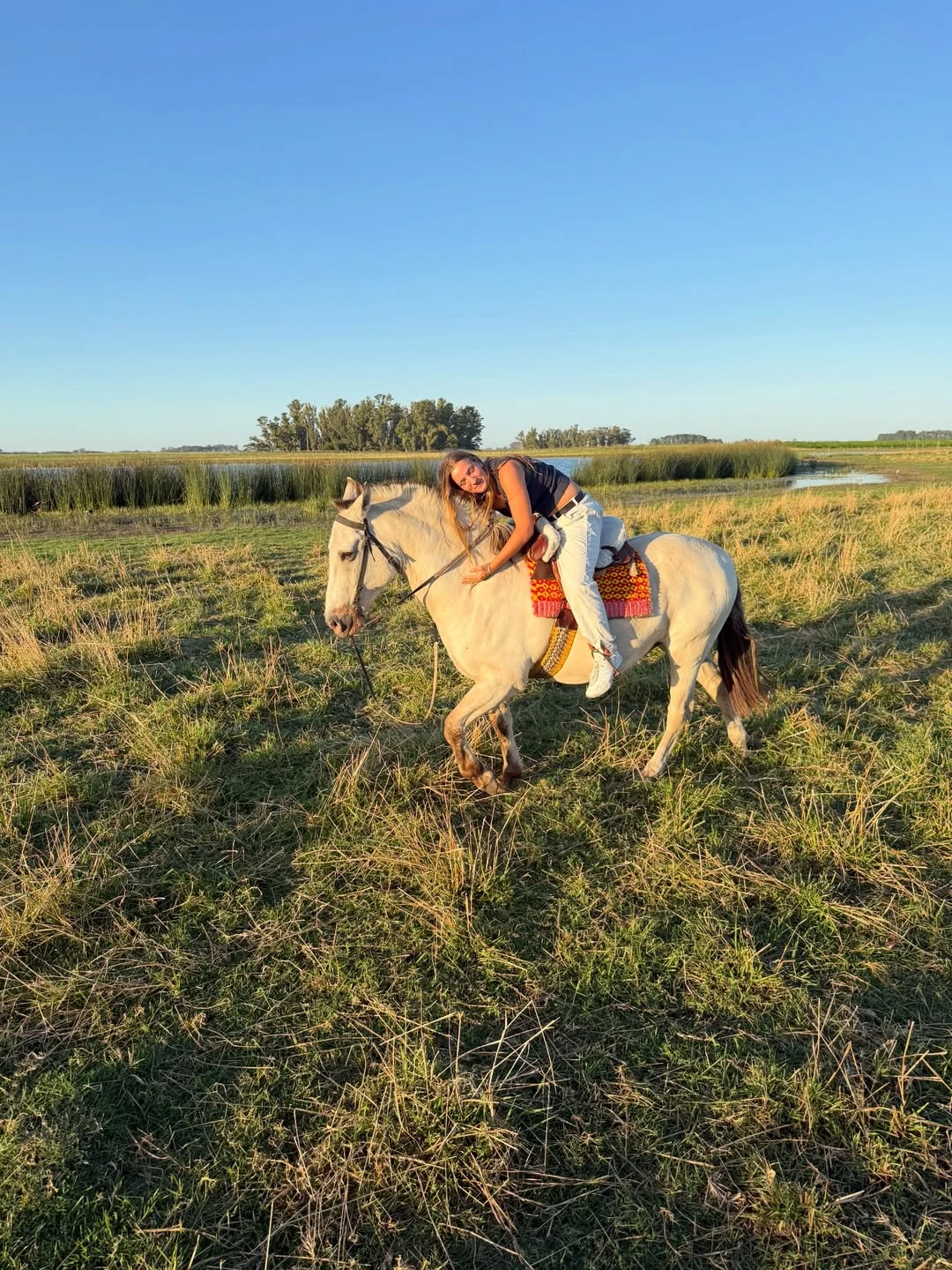 Así es la casa de campo de Maru Botana: decoración rústica, muebles antiguos y una pileta soñada