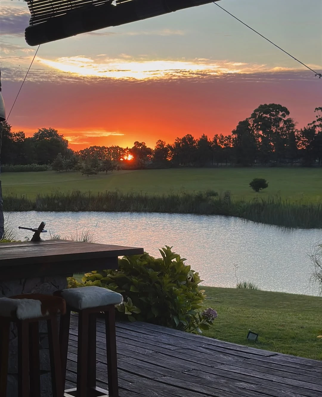 El jardín posee algunas plantas como ligustros. Fotos: IG.