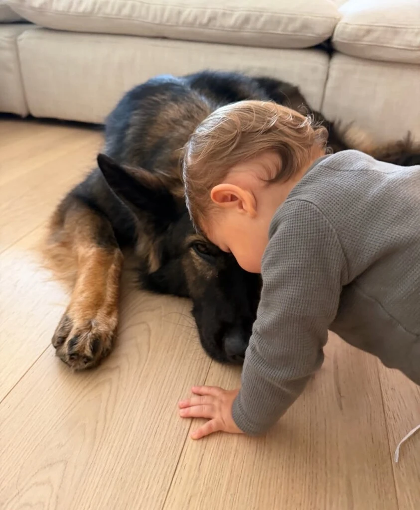 El álbum de fotos por el cumpleaños de River. Foto: IG