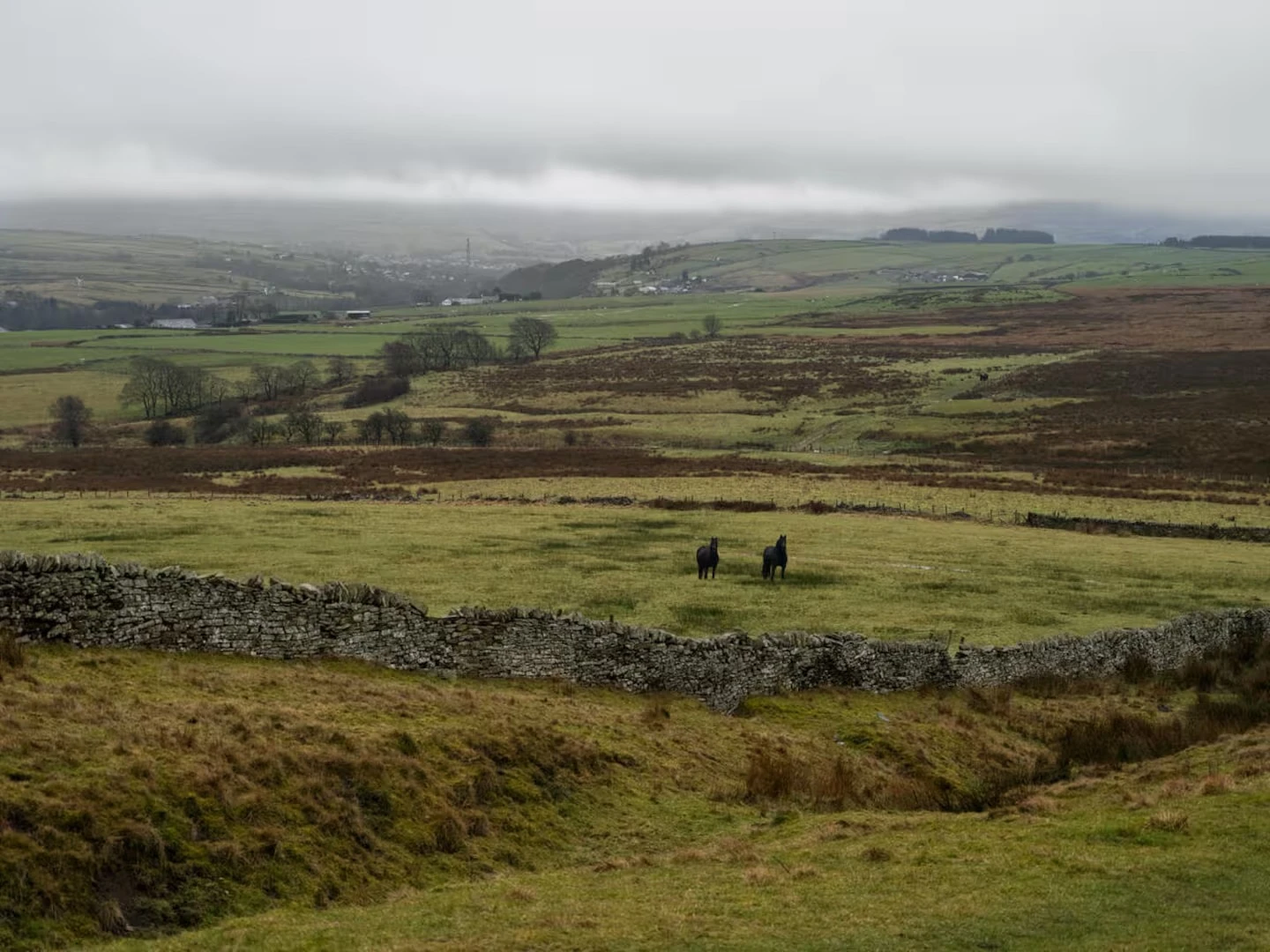 El programa de Airbnb incluye paseo a caballo por los páramos de Yorkshire. 
