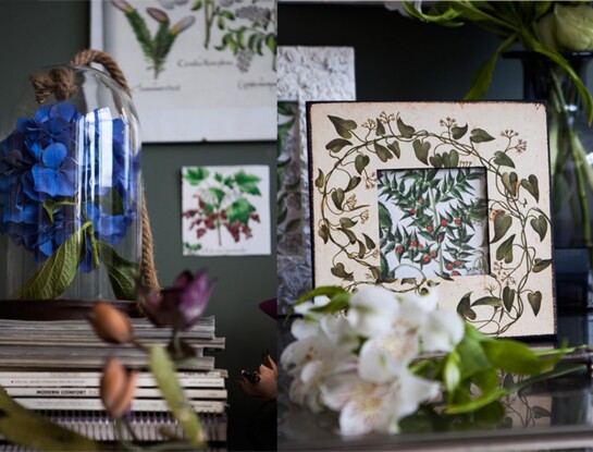 El estilo botánico transforma tu casa en un jardín interior verde y luminoso 