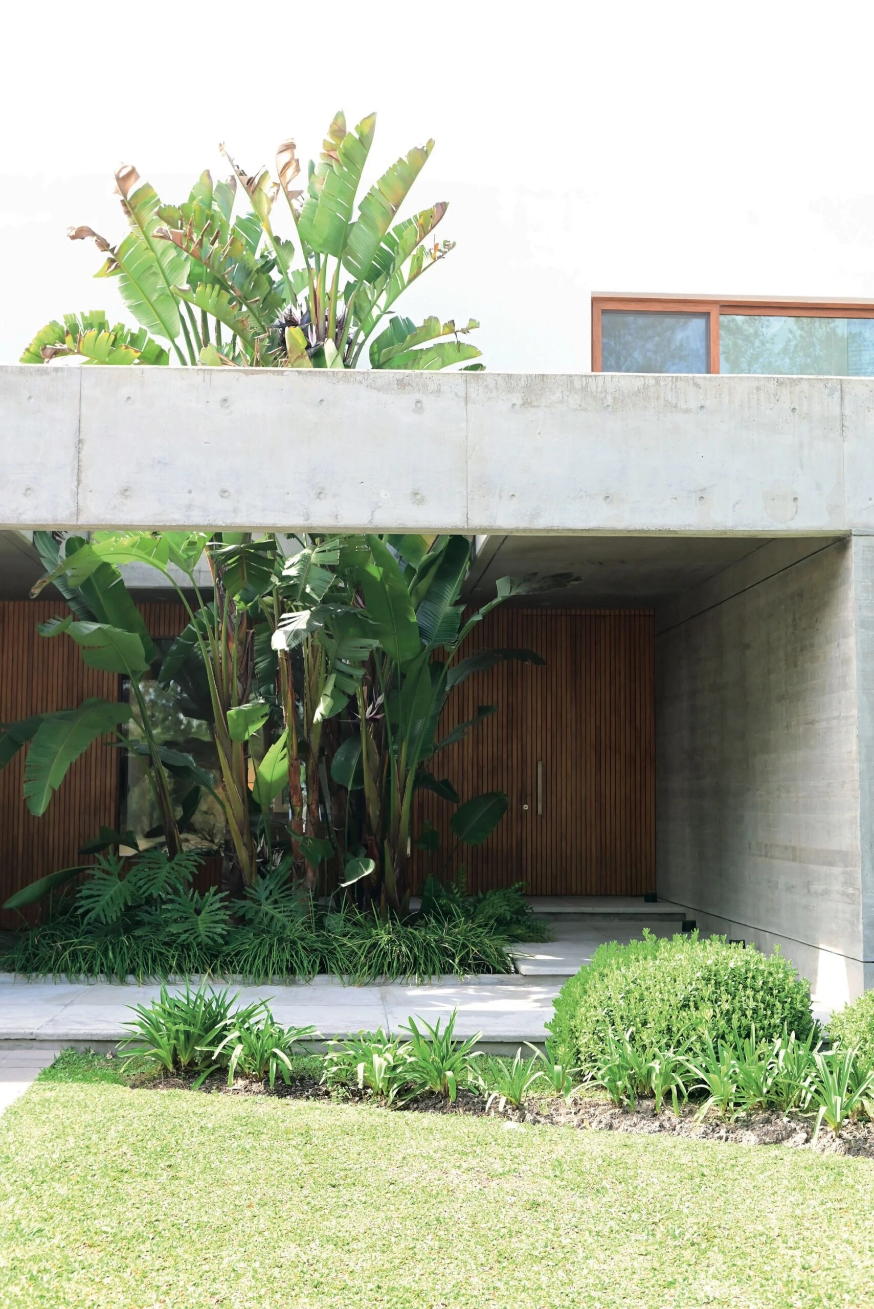 Fachada de hormigón y una gran puerta revestida en madera de kiri.