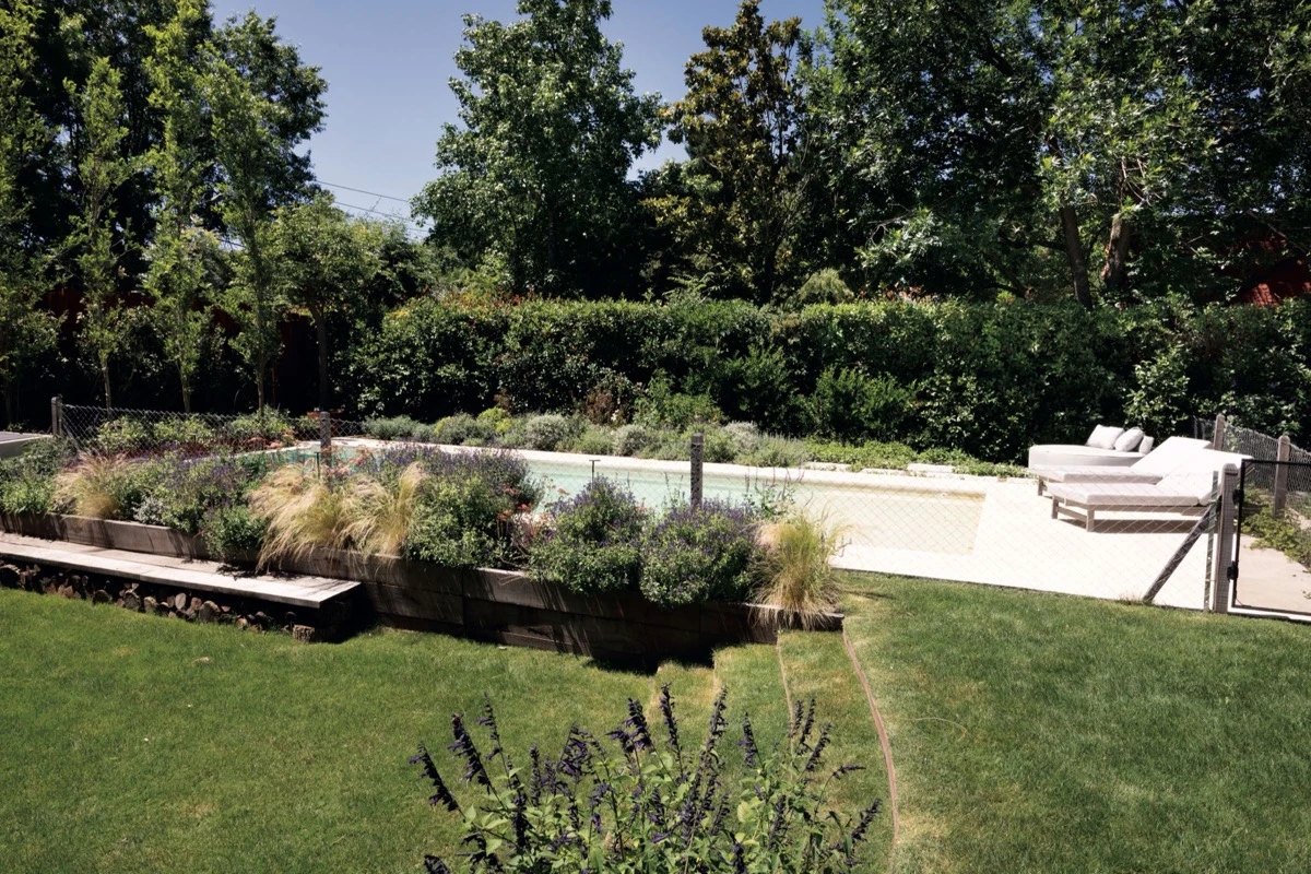 La pileta, inmersa en la vegetación. 