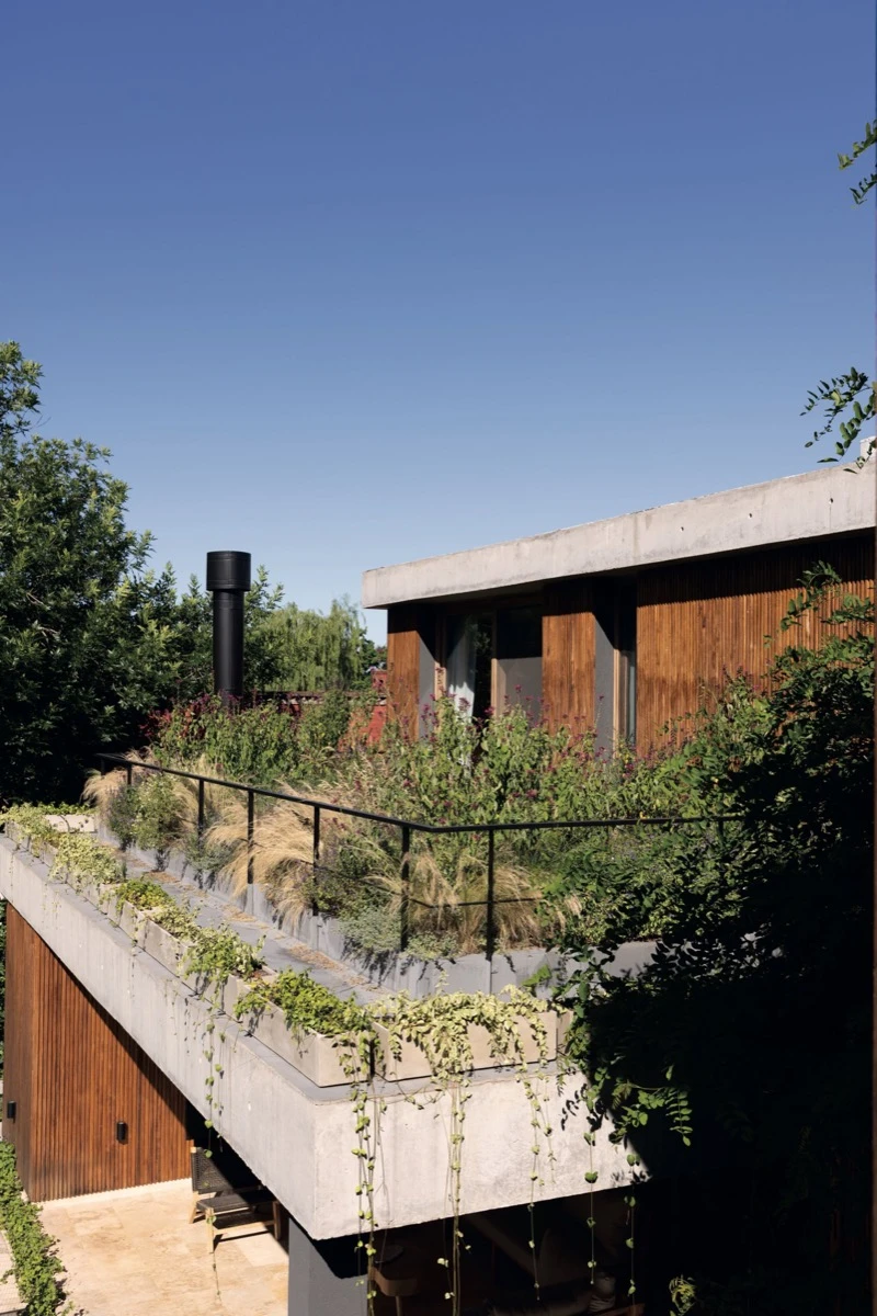 Las terrazas verde multiplican la presencia de vegetación.  