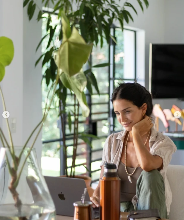 También se colocaron macetas en el interior