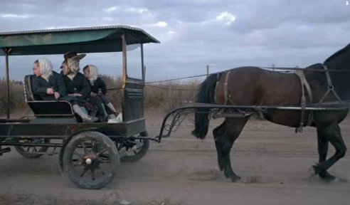Así es la vida en una colonia menonita por dentro