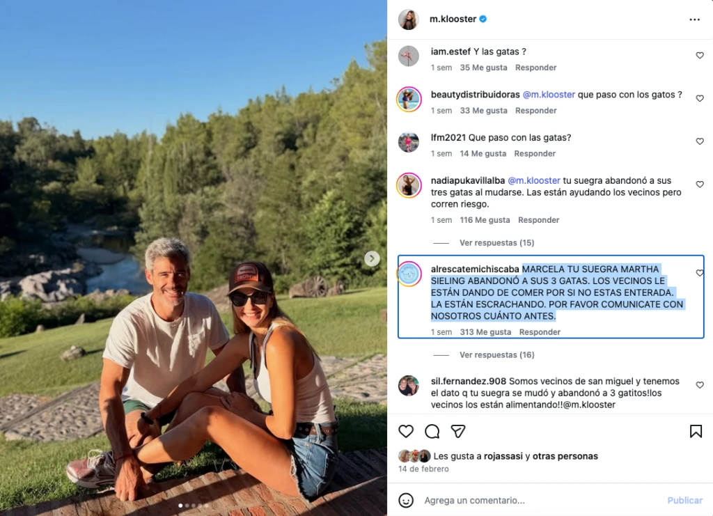 Algunos de los posteos que recibió la actriz