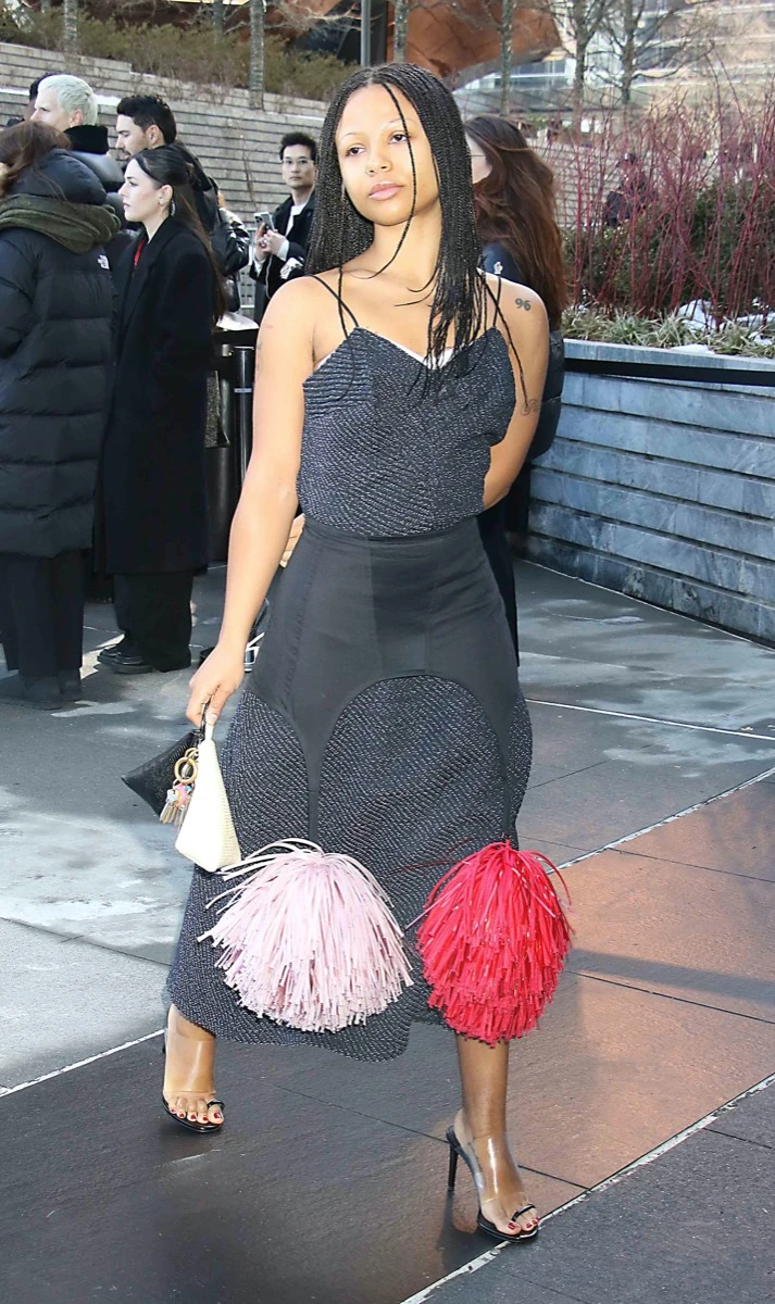 de Dakota Johnson a Lily Collins, los famosos en el desfile de Calvin Klein en la NYFW