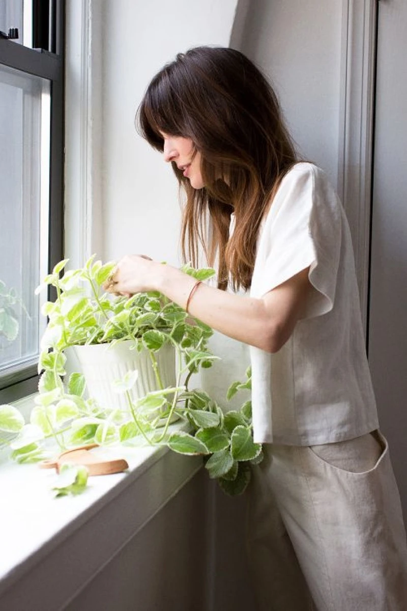 El calor intenso no solo nos agota a nosotros: las plantas también lo padecen. 