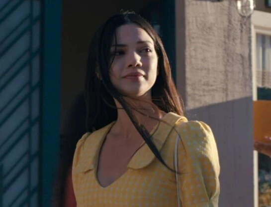 El museo de la inocencia serie