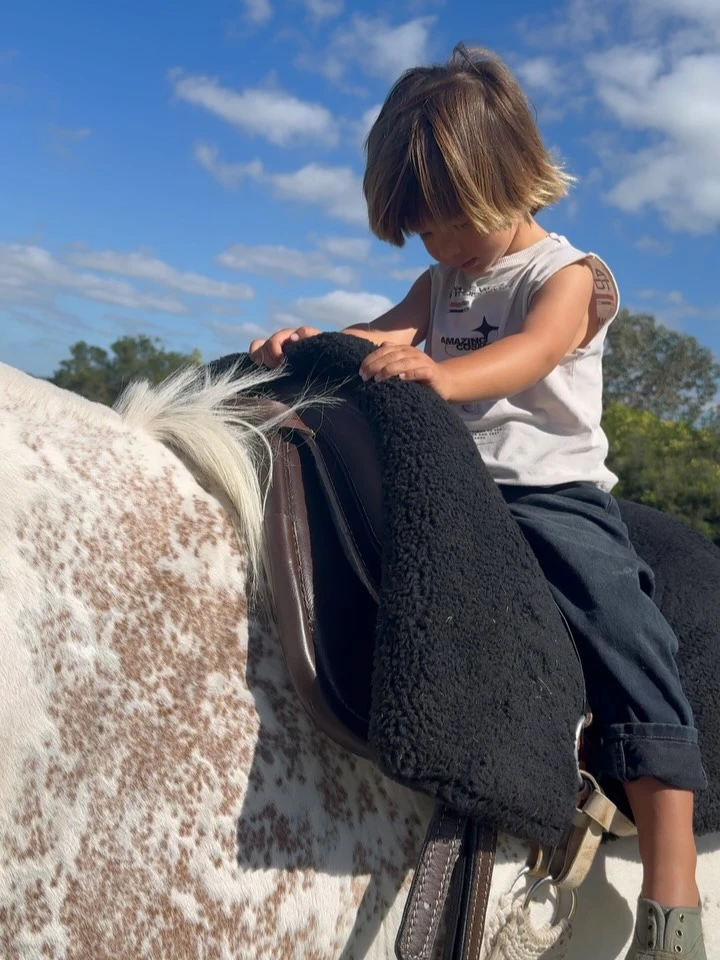 Tao recibió como regalo un segundo caballo. Fotos: IG.
