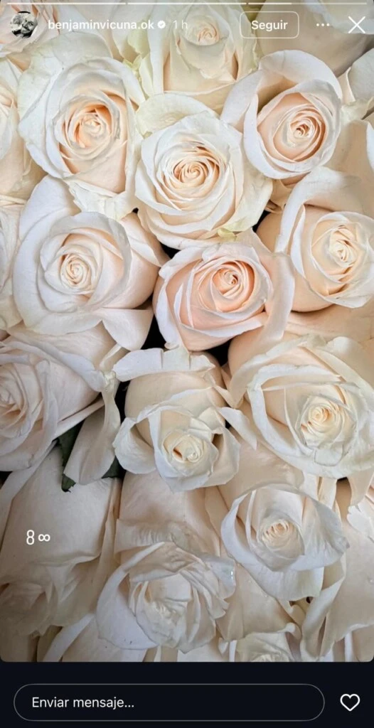 El homenaje de Benjamín Vicuña a su hija mayor, Blanca. Foto: Instagram