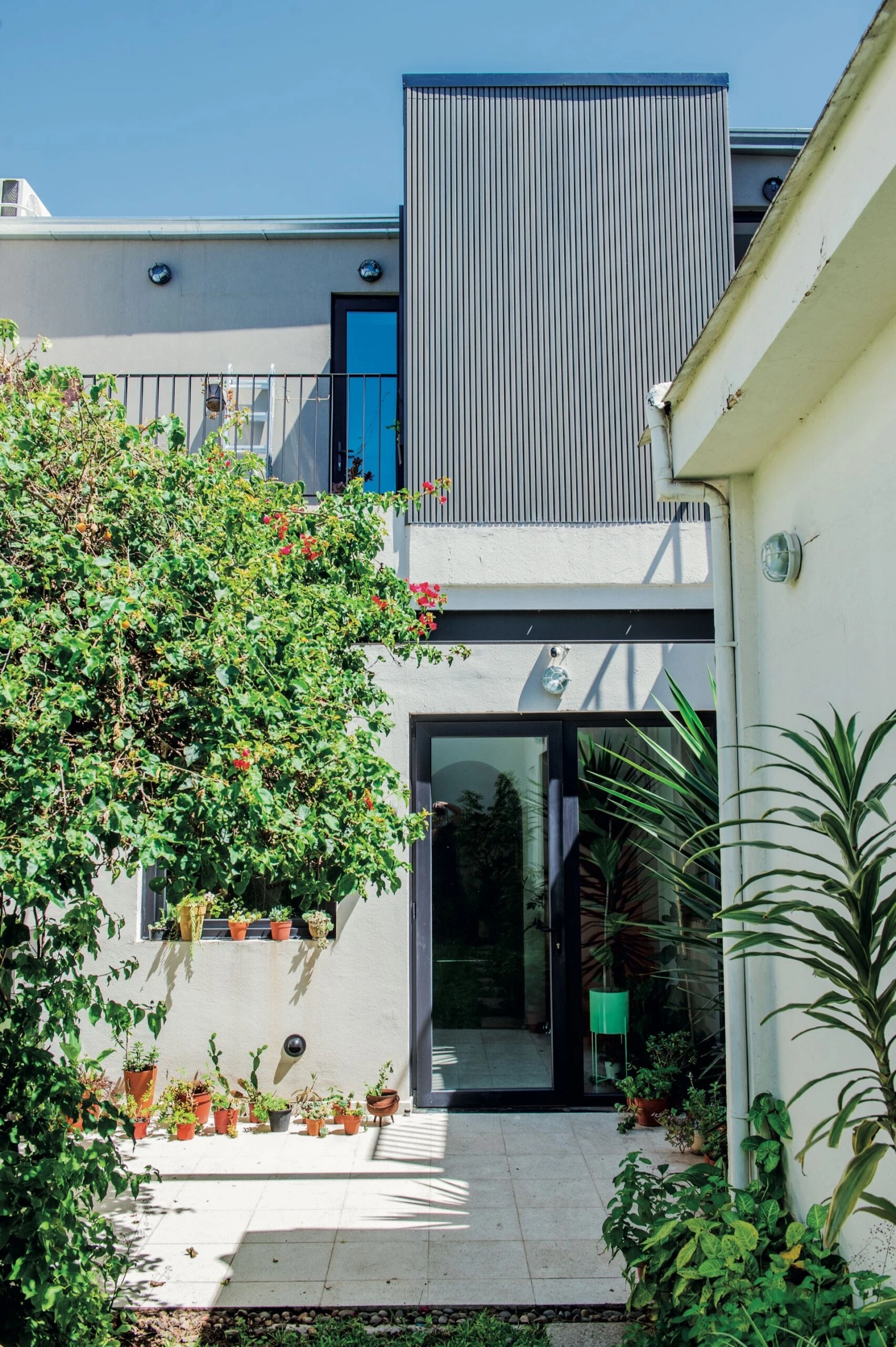 El patio y jardín de la casa. "Tenía que ser un pulmón que articule todo", afirma Leandro Lobosco. 