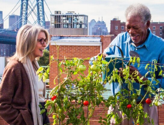 Qué ver en Netflix: el drama con Diane Keaton y Morgan Freeman que está en el top 10