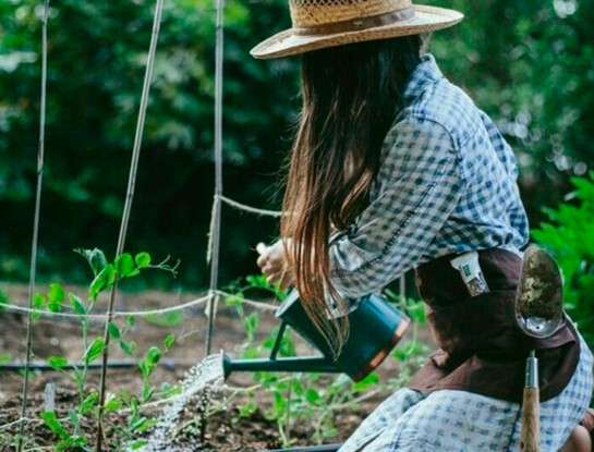 Jardinería fácil: cómo preparar tu huerta en otoño para que produzca mejor