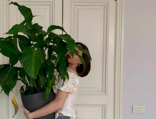 Jardinería fácil: qué hacer hoy con tus plantas en otoño para que crezcan más fuertes