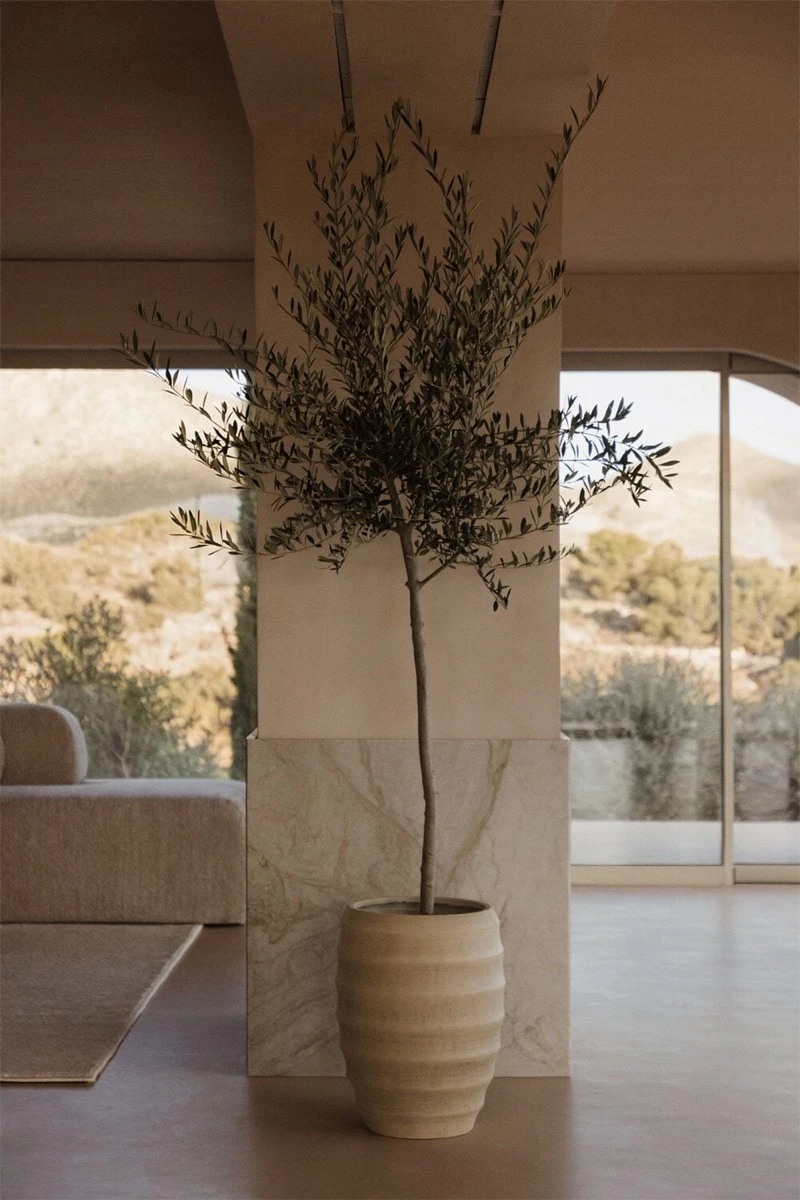 Menos macetas y con mayor impacto visual. 