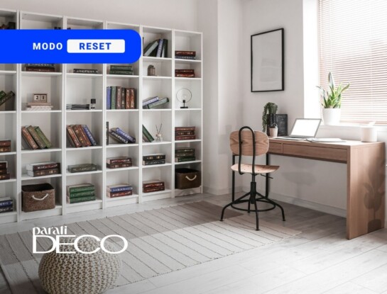 Inicio de clases: cómo armar bibliotecas con orden, diseño y funcionalidad