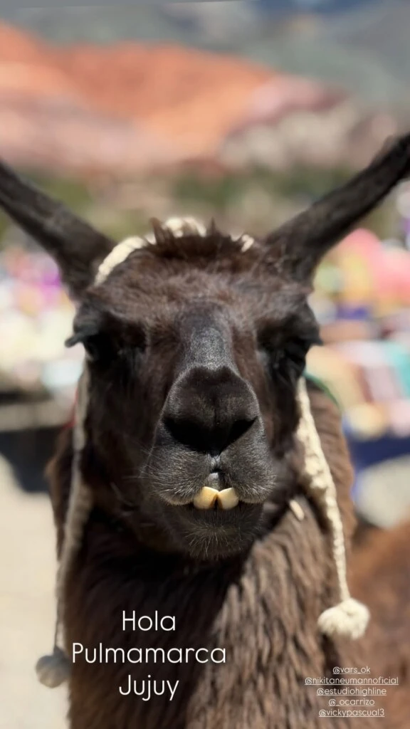 Fiel a su estilo explorador, la modelo no tardó en salir a recorrer las calles y los puestos locales.