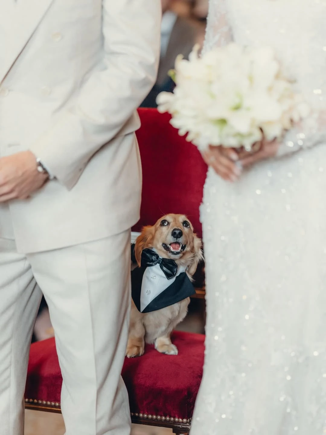 La boda secreta de Charles Leclerc y Alexandra Saint Mleux: fotos, vestido y detalles