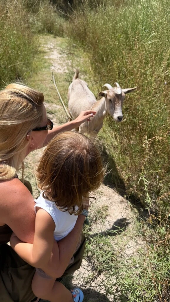 Las historias también dejaron ver momentos muy tiernos junto a su hijo Cruz, con quien disfrutó del contacto con la naturaleza.