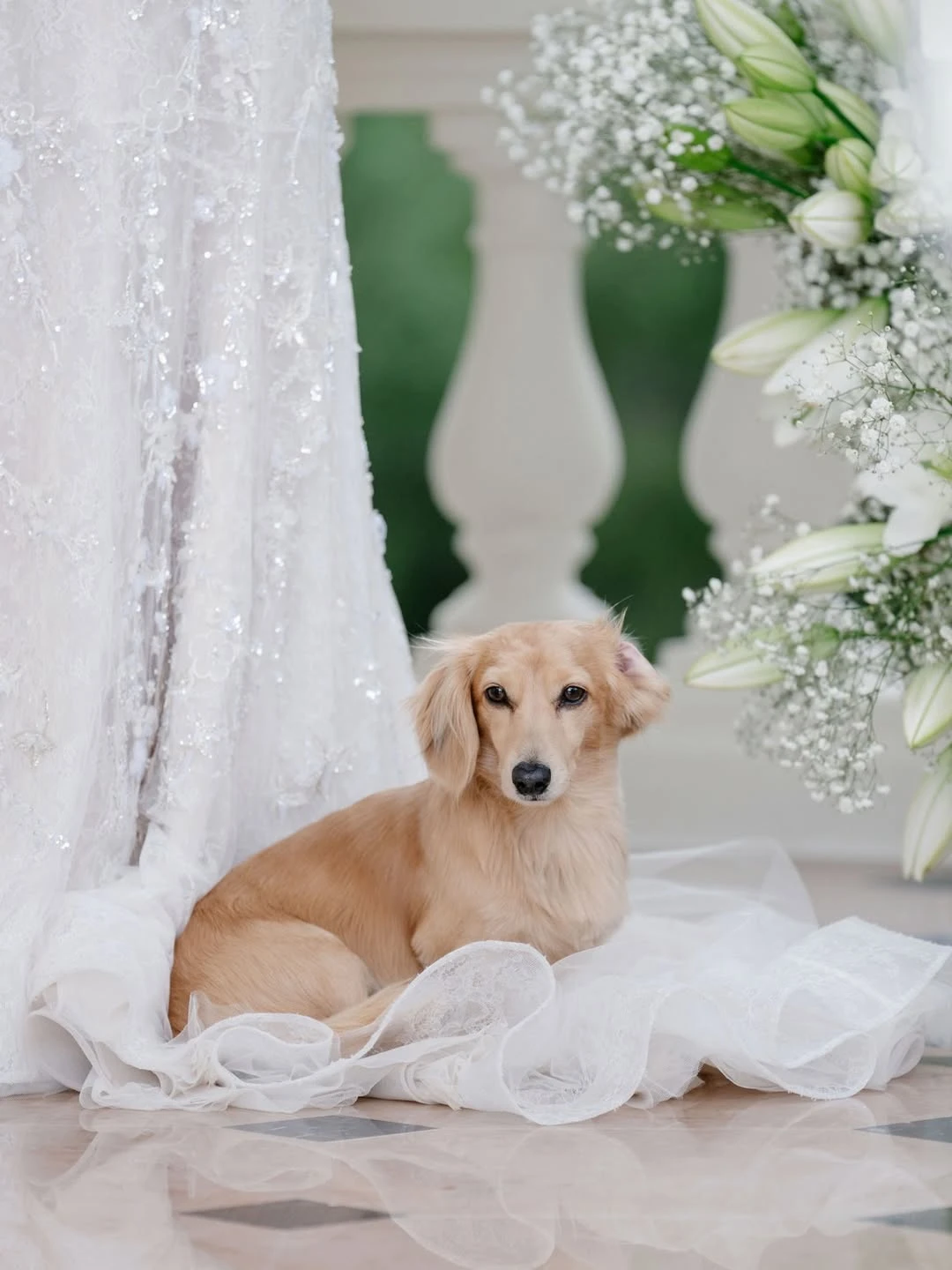 La boda secreta de Charles Leclerc y Alexandra Saint Mleux: fotos, vestido y detalles