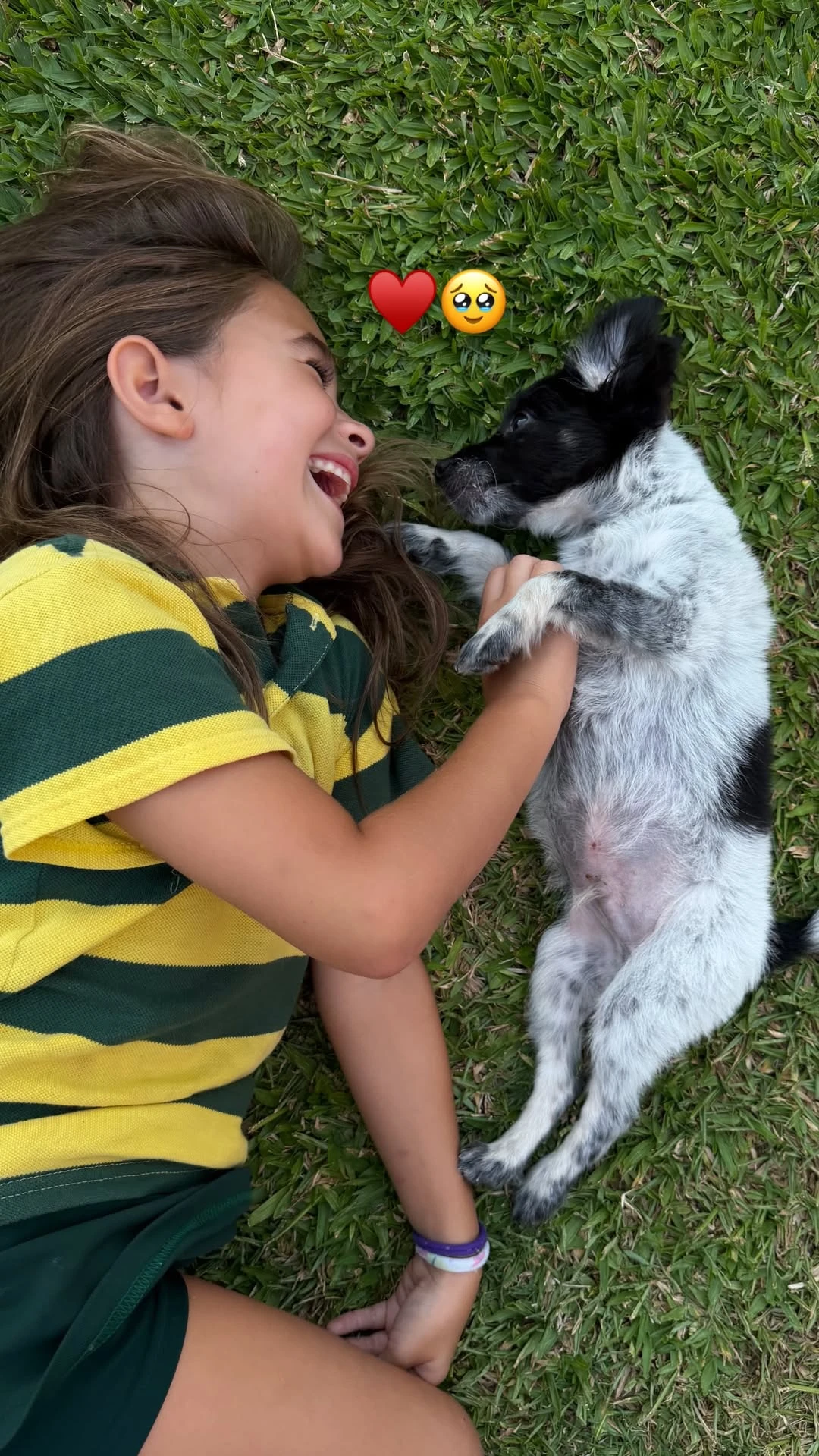 Brenda Gandini presentó a su nueva mascota Onetti: “Bienvenido a nuestras vidas”
