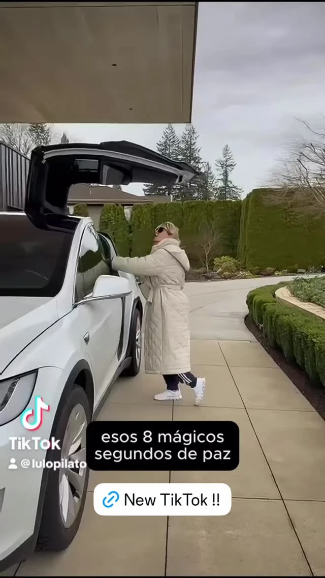 Cuánto sale el Tesla Model X de Luisana Lopilato: lujo y tecnología de punta