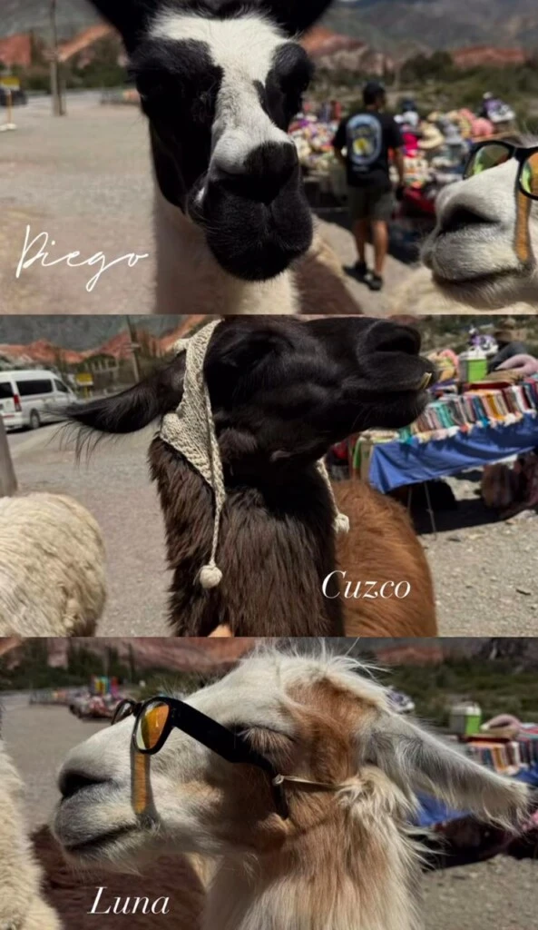 Durante el paseo, incluso mostró un divertido encuentro con tres llamas llamadas Diego, Cuzco y Luna, que se convirtieron en protagonistas de uno de sus collage de fotos.
