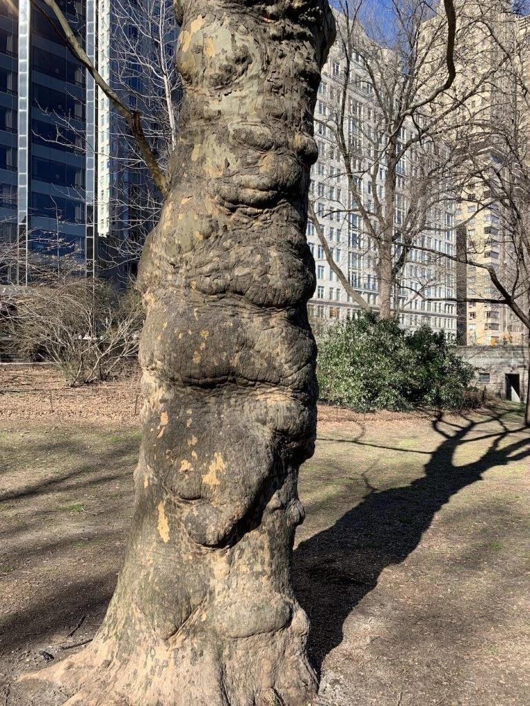 se utiliza en forma maciza sino como lámina delgada