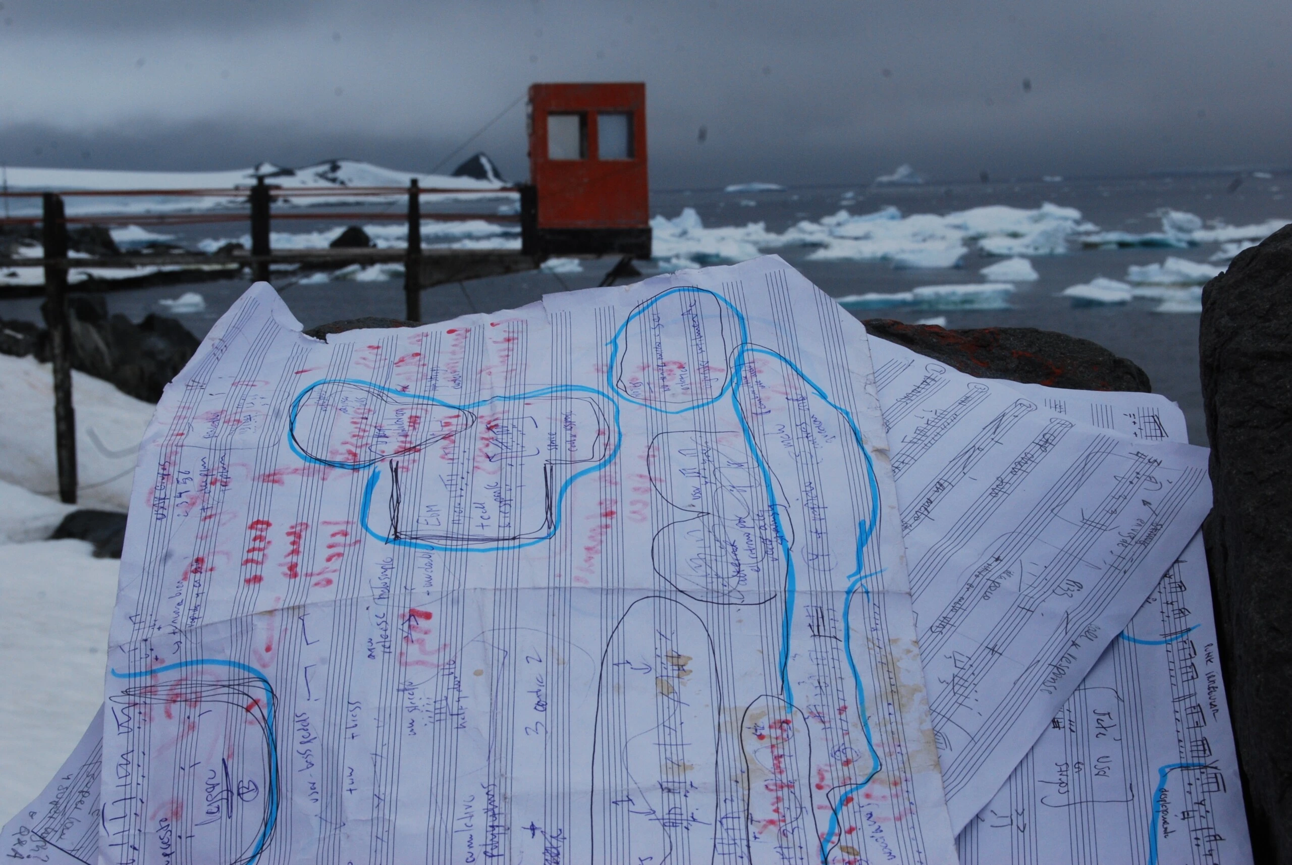 La composición inspirada e inmersa en la naturaleza de Nico Sorín. 