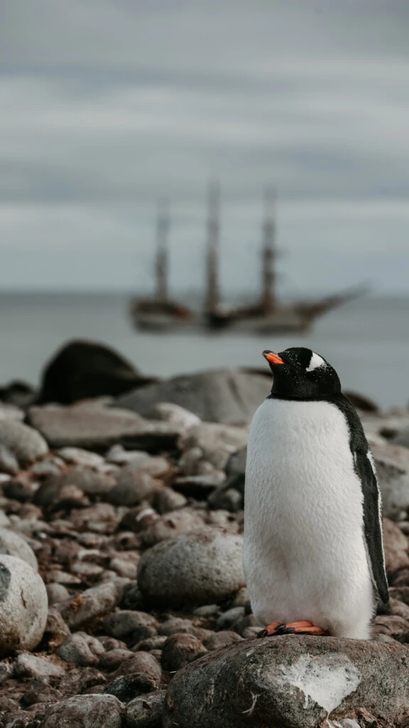Travesía por la Antártida