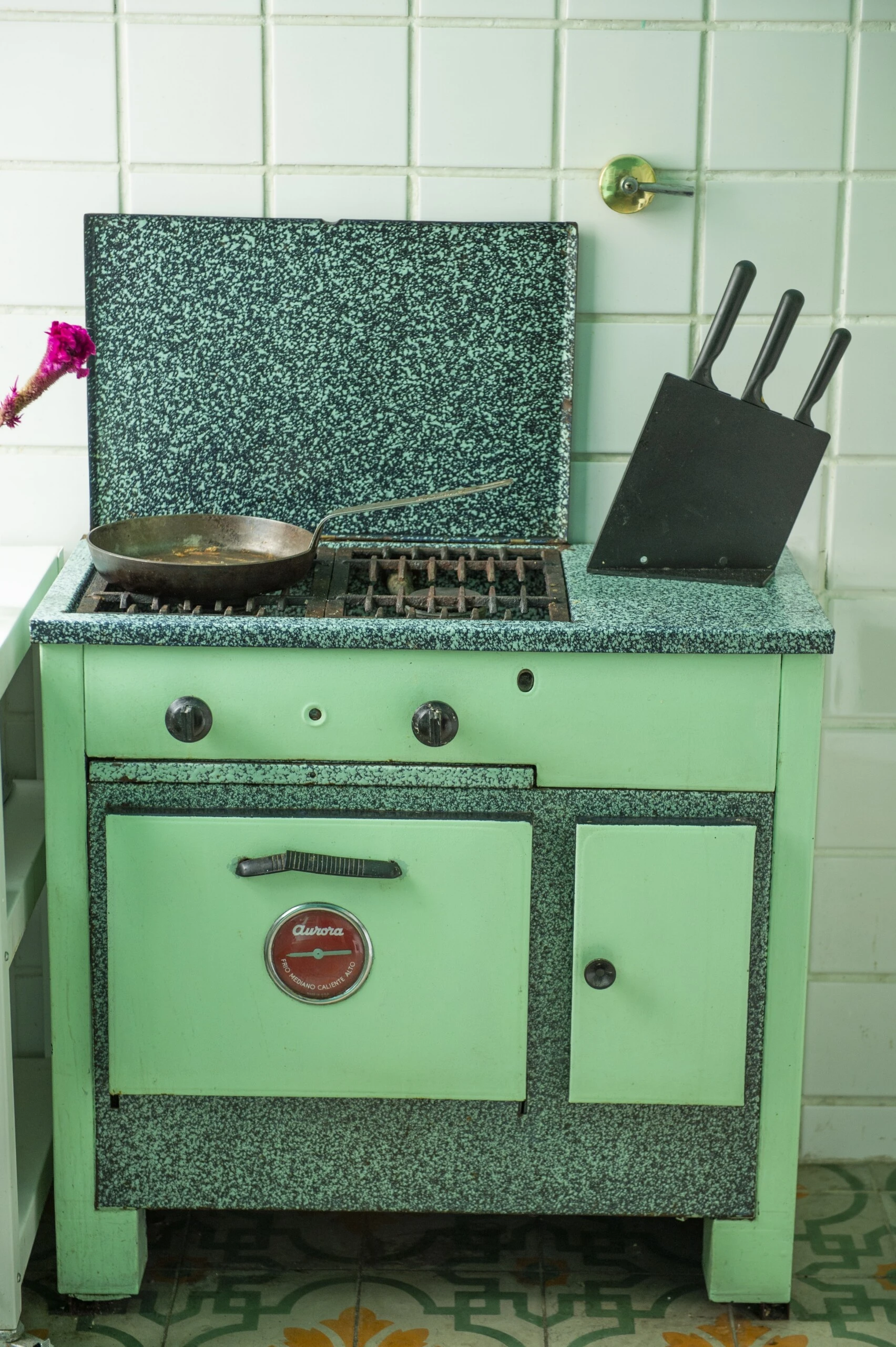 El hornito verde vintage enamoró a primera vista a Débora Nishimoto. 