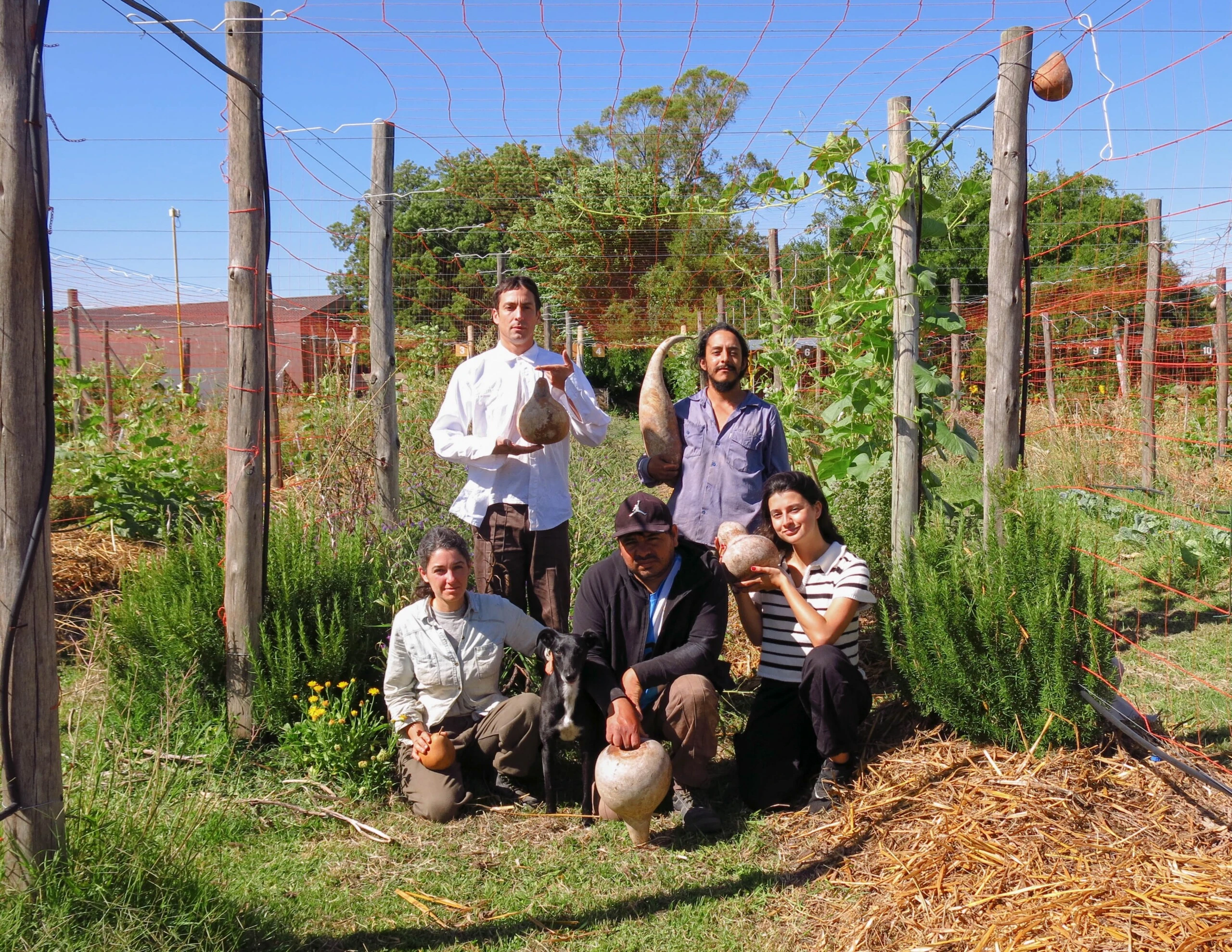 Grupo Bondi ft ReReRe.